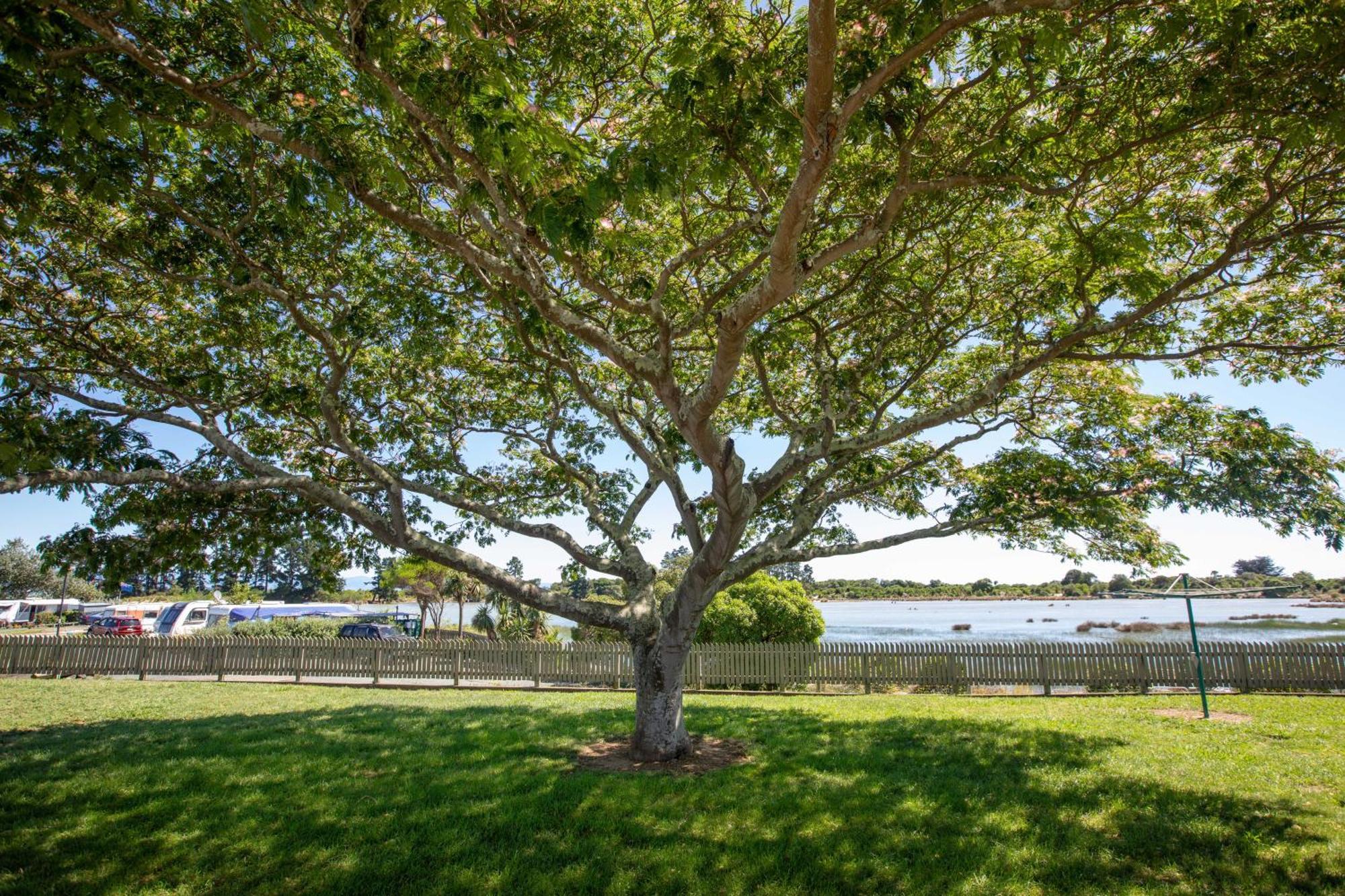 Tahuna Beach Holiday Park Nelson Quarto foto